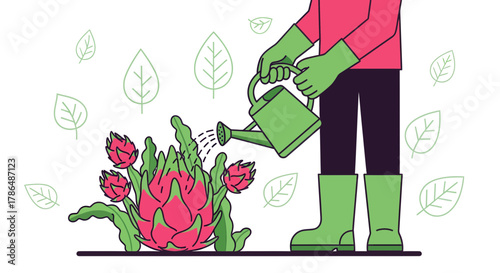 Irrigation Of Dragonfruit Plant: Gardener Watering Tropical Pitaya Artwork Vector Illustration