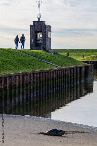 Ein sonniger Herbsttag im Nordseeheilbad Dangast mit Seehund