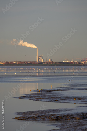Ein sonniger Herbsttag im Nordseeheilbad Dangast mit Seehund