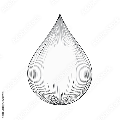Detailed Vintage Illustration of a Single Water Drop Shaped Object in Black and White