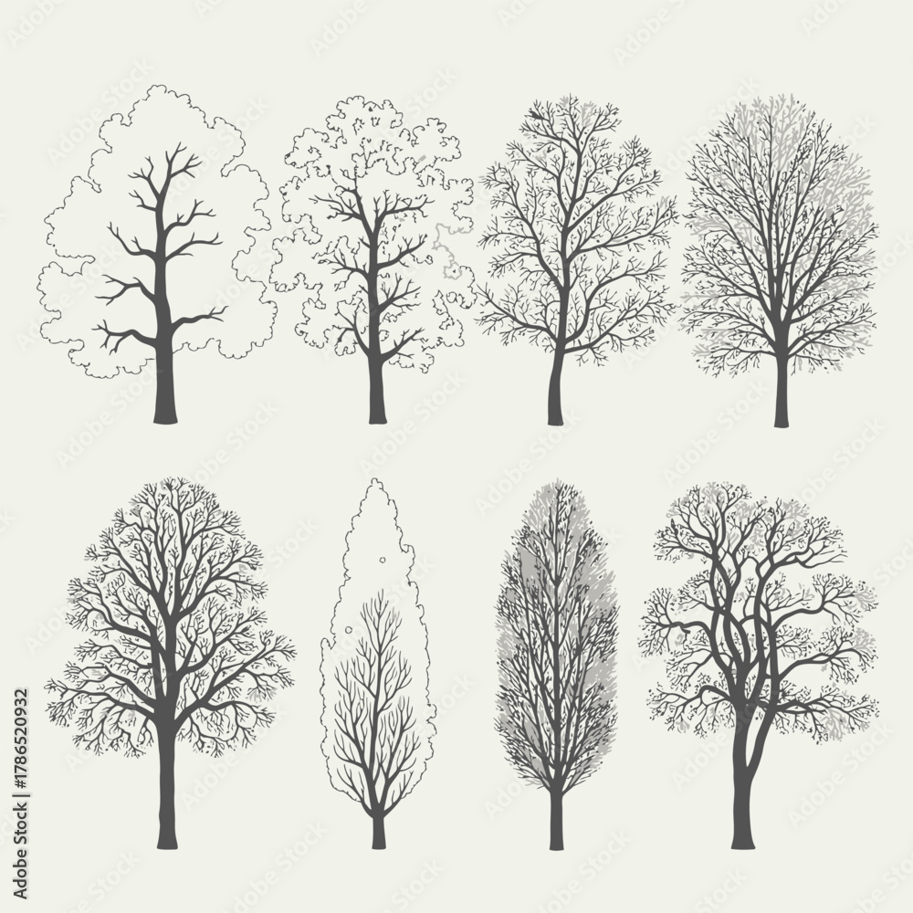 Obraz premium Hand drawn tree silhouettes and outline illustrations set design