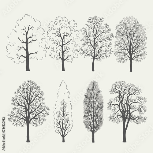 Hand drawn tree silhouettes and outline illustrations set design