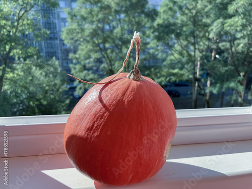 a small ripe pumpkin on a balcony