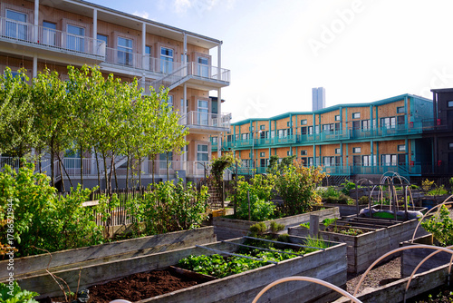 Public community garden with plants growing in raised beds, sunny summer day, Gothenburg, Sweden