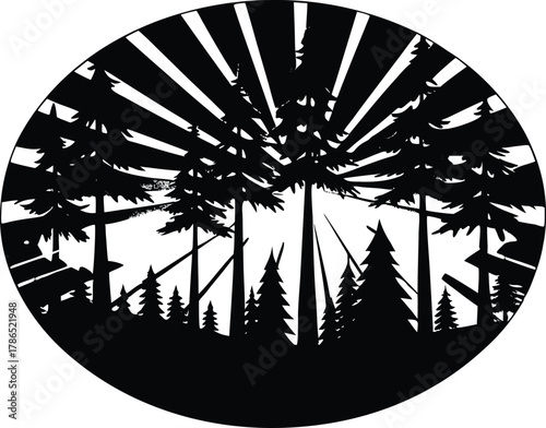 Forest Clearing with Sunlight Rays Silhouette, Sun Beams Through Forest Trees Art