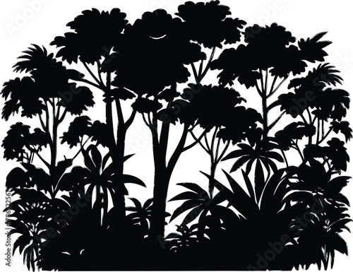 Tropical Rainforest Canopy Silhouette, Dense Rainforest Tree Canopy Design