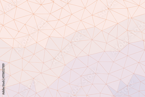 Intersecting abstract illustration network thin geometric line networks lines vector pattern forming