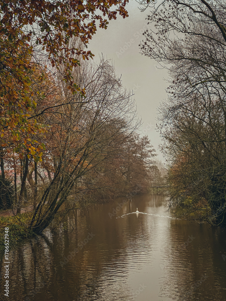 Obraz premium autumn landscape with river and trees - retro, vintage style look