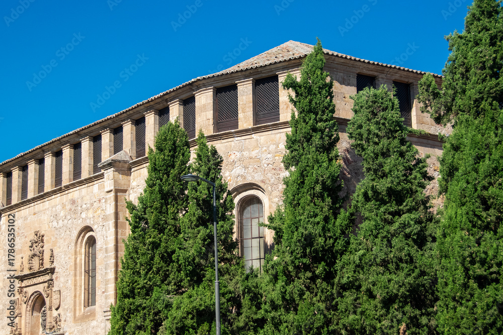 Obraz premium Historic sandstone building with cypress trees in salamanca