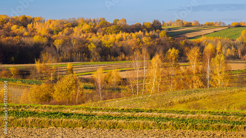 An autumn agricultural landscape. The image depicts a picturesque autumn agricultural landscape.. Roztocze. Lublin Voivodeship. Poland.