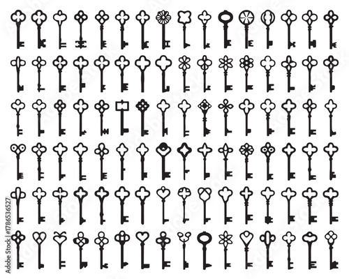 key decorative skeleton key set vector illustration ornate motifs