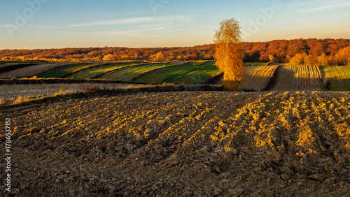 An autumn agricultural landscape. The image depicts a picturesque autumn agricultural landscape. Roztocze.  Poland.
