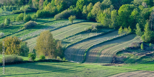 An agricultural landscape in spring. Green, rolling hills reveal vibrant fields and trees in a tranquil landscape in daylight. Roztocze, Lublin Voivodeship, Poland, Europe.