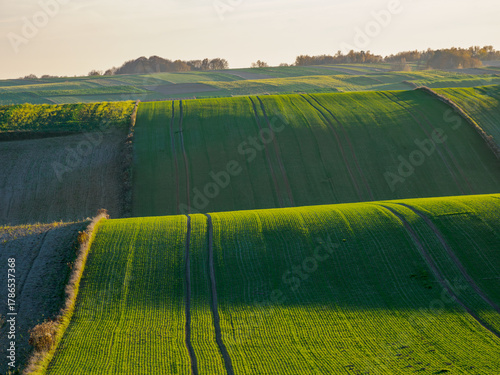 An autumn agricultural landscape. Rolling fields, lit by the warm glow of the setting sun. Roztocze. Lublin Voivodeship. Poland.