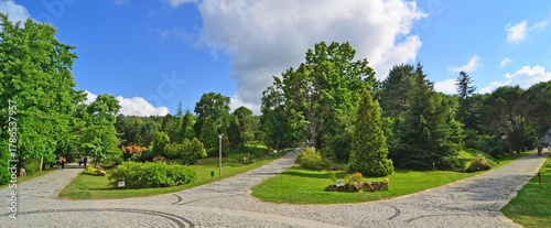 Photography Ataturk Arboretum, located in Istanbul, Turkey, is a natural museum with many lice and trees