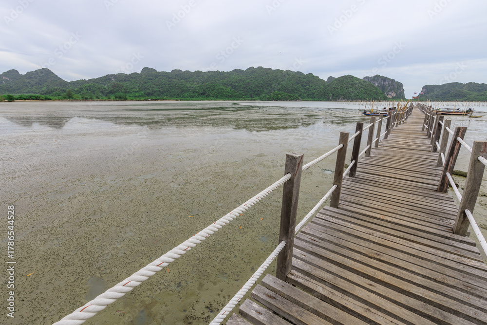Fototapeta premium Wooden bridge over a body of water with a rope tied to it