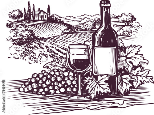 Glass of Wine, Grapes against the Backdrop of a Rural Landscape with Vineyards, Vintage Ink Illustration