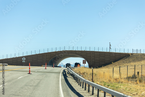 wildlife crossing bridge, access for wildlife to cross highway safely 