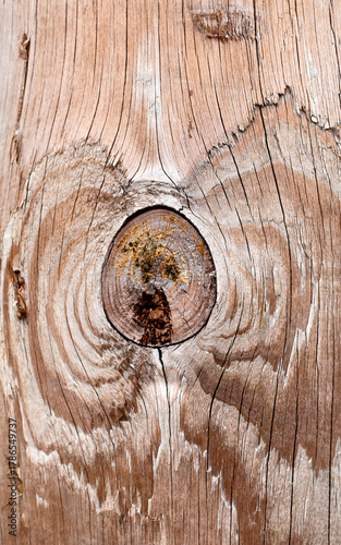 Wood Knot