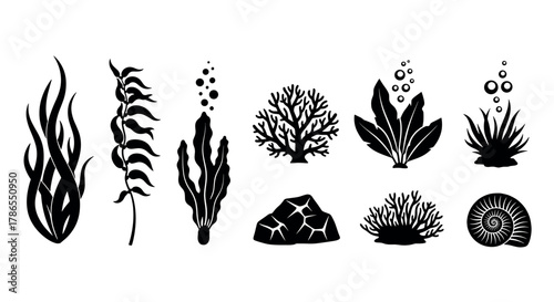Black silhouette set of various marine plants and coral, including seaweed, coral, and a nautilus shell, displayed on a white background.