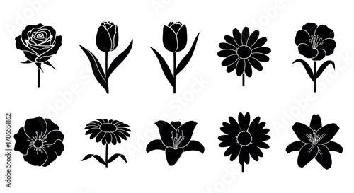 Black silhouette icons of various flowers including roses, tulips, daisies, and lilies, showcasing diverse floral shapes and details.