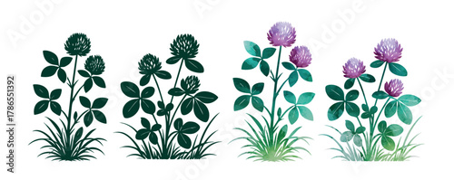 Clover set. St. Patrick's Day. Beautiful flower Hand drawn. Not AI, vector illustration.