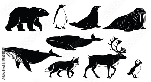 Silhouettes of various arctic animals, including a polar bear, penguin, seal, walrus, whales, fox, reindeer, and puffin, depicting diverse wildlife in black outlines.