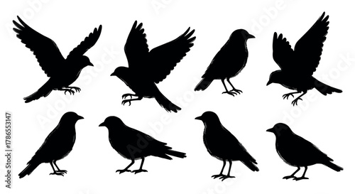 Eight black silhouette illustrations of birds in various poses, including flying and standing positions, showcasing different perspectives.