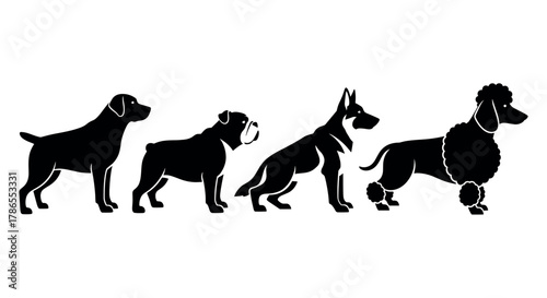 Silhouette illustrations of four different dog breeds in a row: labrador retriever, bulldog, german shepherd, and poodle.