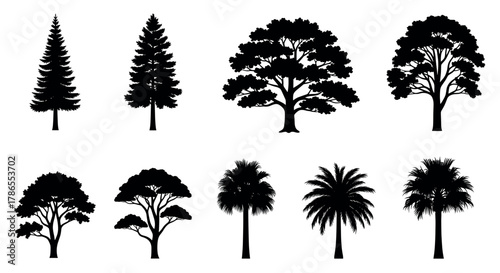 Silhouettes of various tree types, including coniferous and deciduous trees, arranged in two rows on a white background.