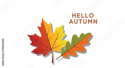 Vibrant autumn maple leaves displaying seasonal colors with hello autumn greeting