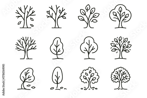 Trunk bare falling collection autumn tree leaves vector curved detailed icon