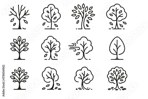 Stylized dropping bare tree minimal detailed icon autumn vector outline leaves