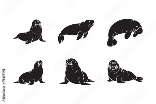 Collection of six silhouette illustrations of marine mammals