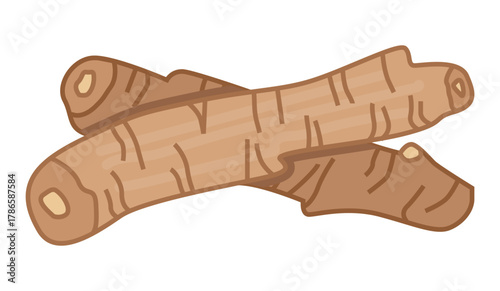 Illustration of Codonopsis pilosula root — traditional Chinese medicine herb, known as “poor man’s ginseng”, perfect for health, pharmacy and natural products projects.