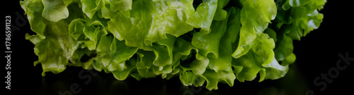 Foto Fresh green leaf lettuce on a black background