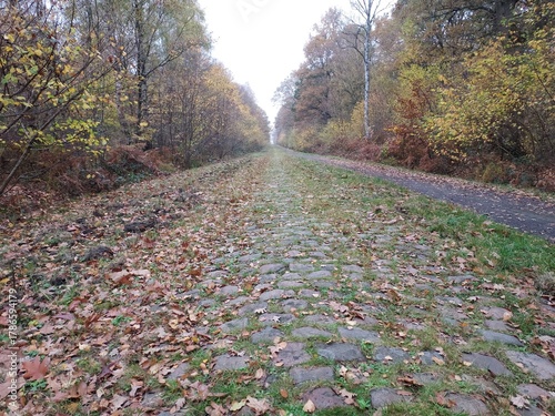  Chemin d’automne sur les pavés légendaire d’Arenberg