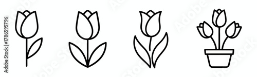 Four Isolated Tulip Flower Head Outline Illustrations in Row on White