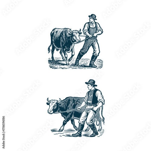 Detailed vintage illustration of a farmer or rancher in a checkered shirt leading a cow with a rope