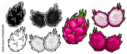 Dragon Fruit Illustration Set. Silhouette, Line Art, and Full Color Cartoon Style, Tropical Pitaya Fruit Collection, Isolated on White Background, Vector EPS File