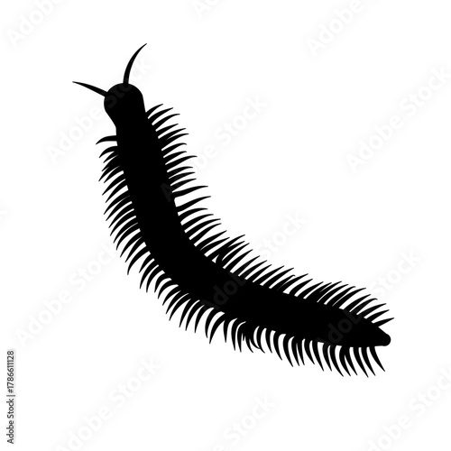 Insect Millipede silhouette