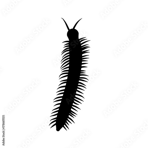 Insect Millipede silhouette