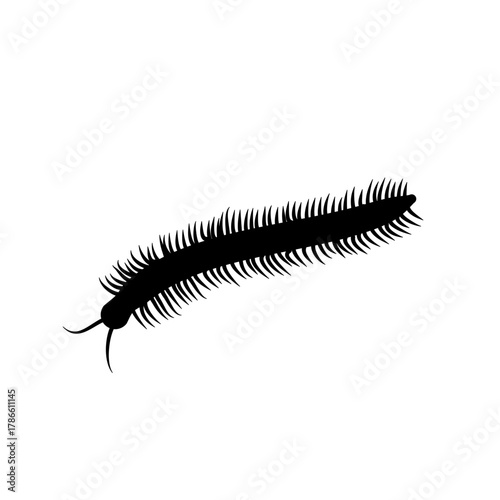 Insect Millipede silhouette