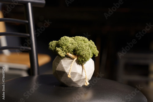 Small decorative moss planter on a black stool in a cozy indoor space