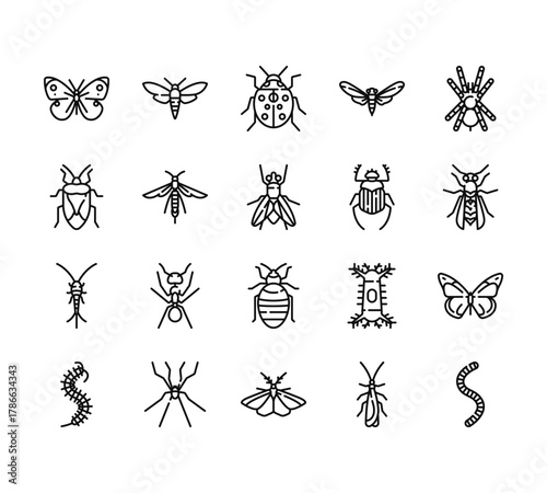20 set of outline web insects icons such as bug, bug, silverfish, worm, moth vector thin icons for report, presentation, diagram, web design, mobile app