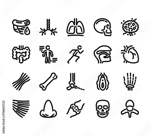 20 set of outline web anatomy icons such as bronchus, intestine, tendon, trapezius, cartilage vector thin icons for report, presentation, diagram, web design, mobile app