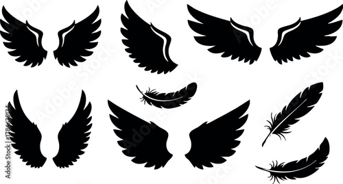 Black wing silhouettes and feathers vector illustration set with various shapes and styles