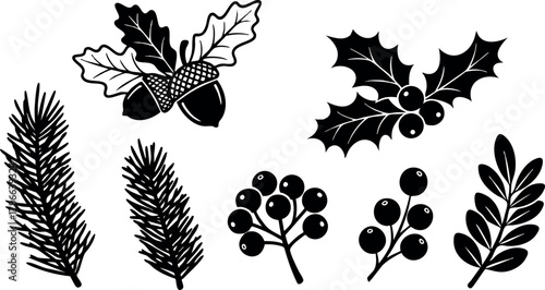 Collection of Black Silhouette Pine Acorns Holly Berries and Leaves Vector Illustration 