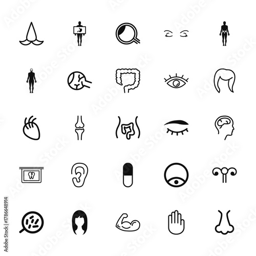 25 set of outline web body parts icons such as human body with x ray plate focusing on stoh, standing human body shape, part with lines, tooth x rays vision, cells under a magnification tool vector