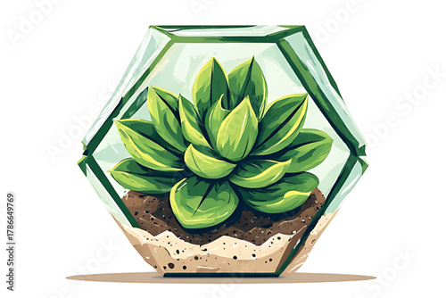 Illustration of a succulent plant inside a geometric glass terrarium with layers of soil and sand.